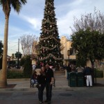Christmas at Disneyland