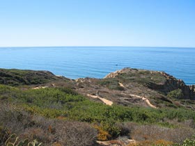 torrey-pines-reserve-ocean